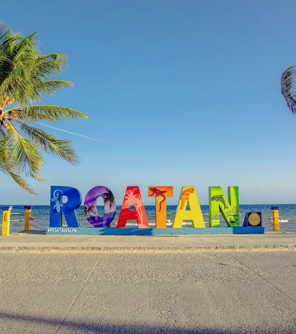 Roatán island scenic view with palm trees and Caribbean coastline