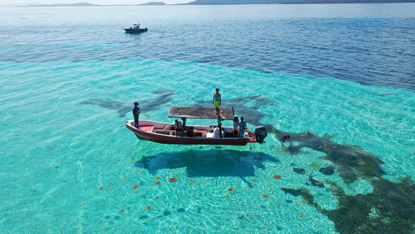 Caribbean island beach and reef in Roatán