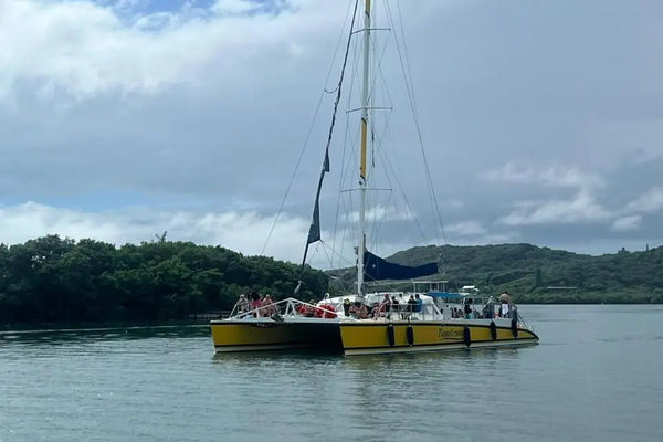 Catamaran Cruise