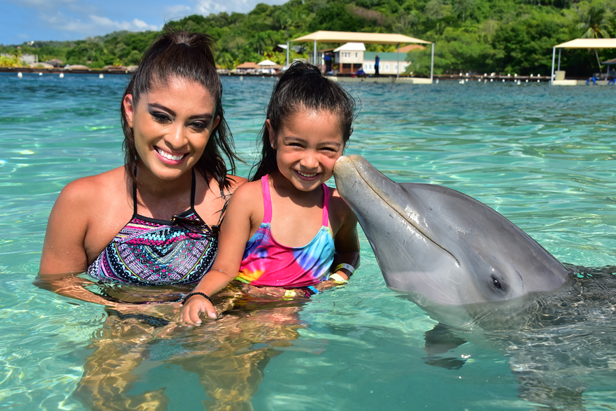 Encuentro con delfines en Roatán