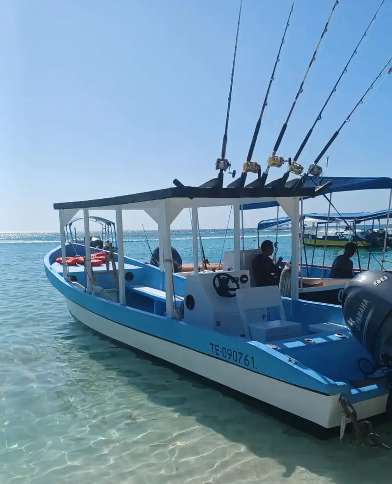 Excursión de Pesca en Roatán – Aventura de Pesca en Alta Mar y en Arrecifes