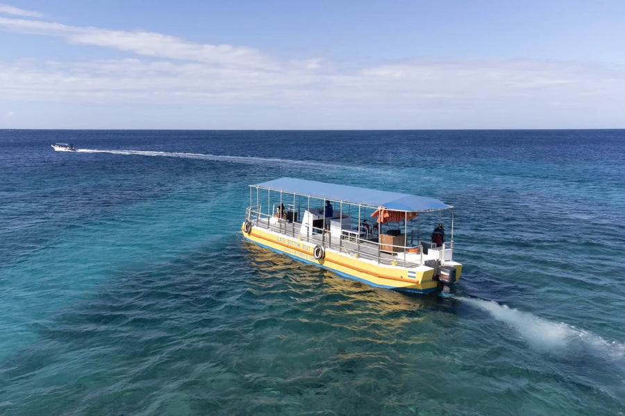 Paseo en barco con fondo de cristal