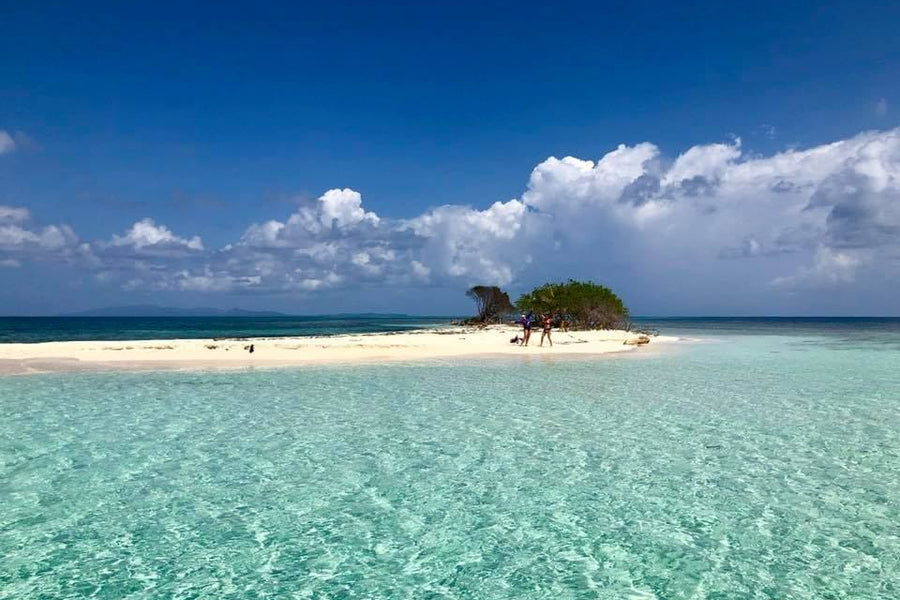 Pigeon Cay Tour from West Bay – Snorkel with Nurse Sharks in Roatán